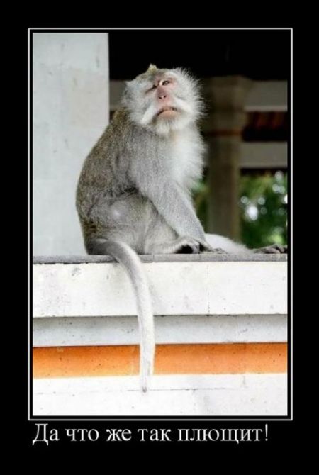 Демотиваторы приколы