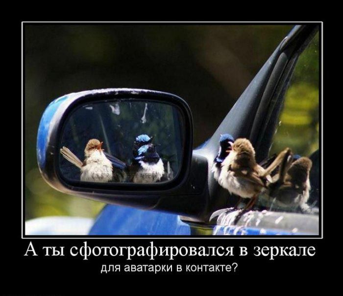 Демотиваторы приколы