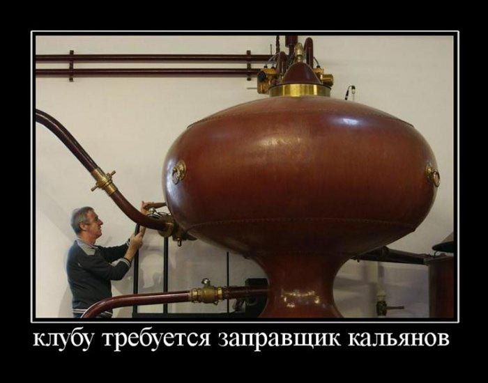 Демотиваторы приколы