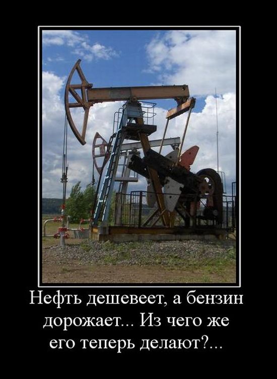 Демотиваторы приколы
