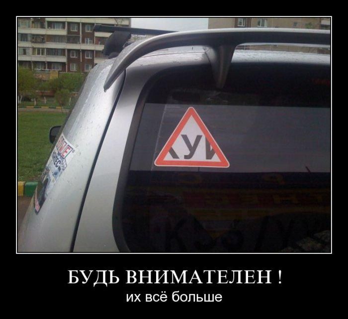 Демотиваторы приколы