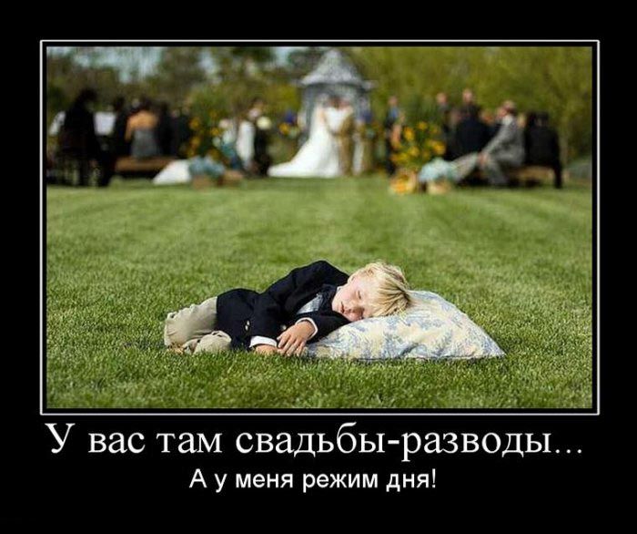 Демотиваторы приколы