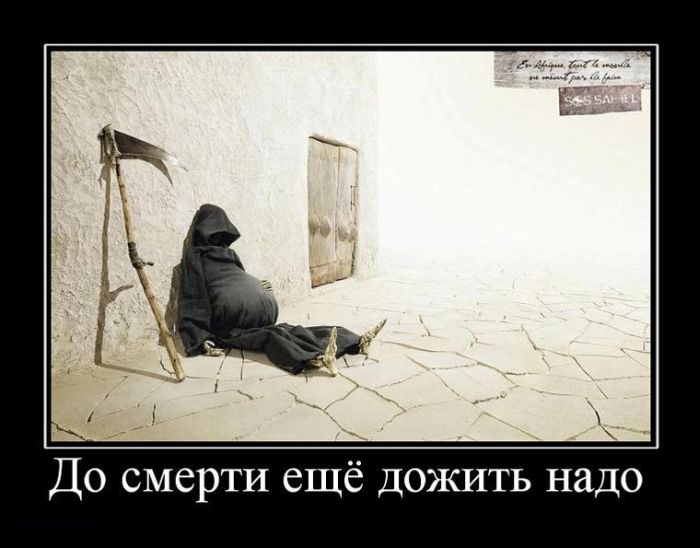 Демотиваторы приколы