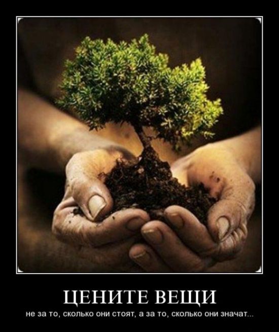 Демотиваторы приколы