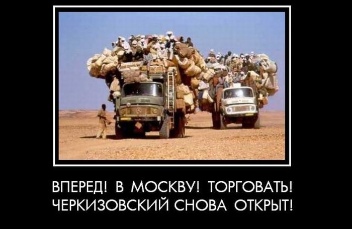 Демотиваторы приколы
