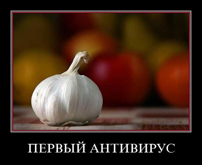 Демотиваторы приколы