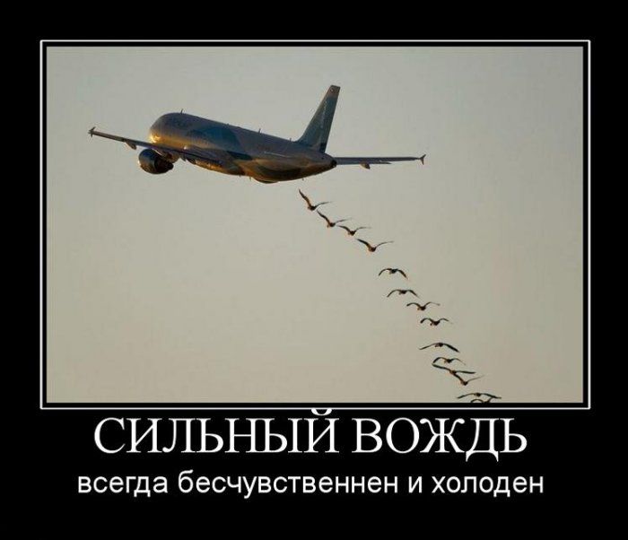 Демотиваторы приколы