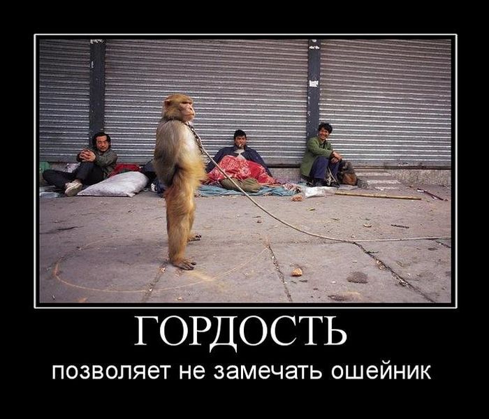 Демотиваторы приколы