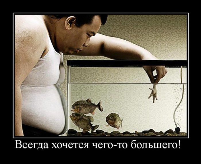 Демотиваторы приколы
