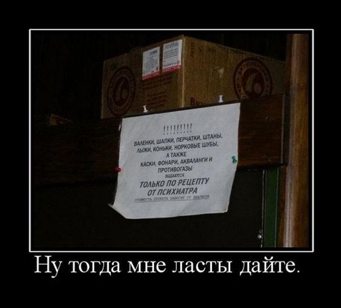 Демотиваторы приколы