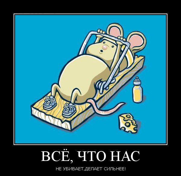 Демотиваторы приколы