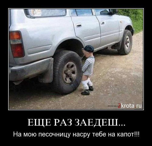 Демотиваторы приколы