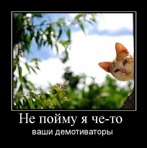 Демотиваторы приколы