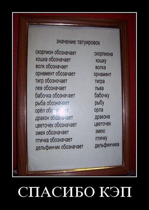 Демотиваторы приколы