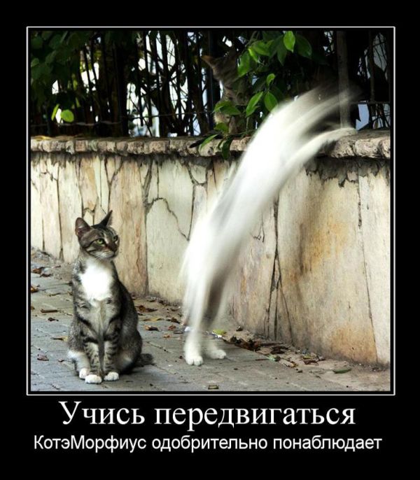 Демотиваторы приколы