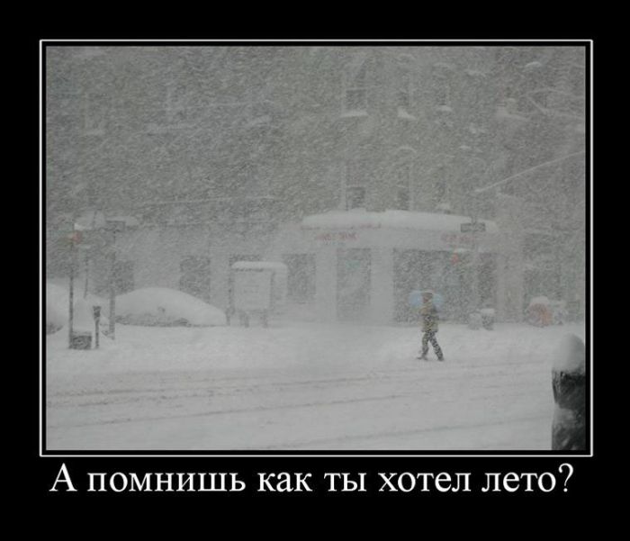 Демотиваторы приколы