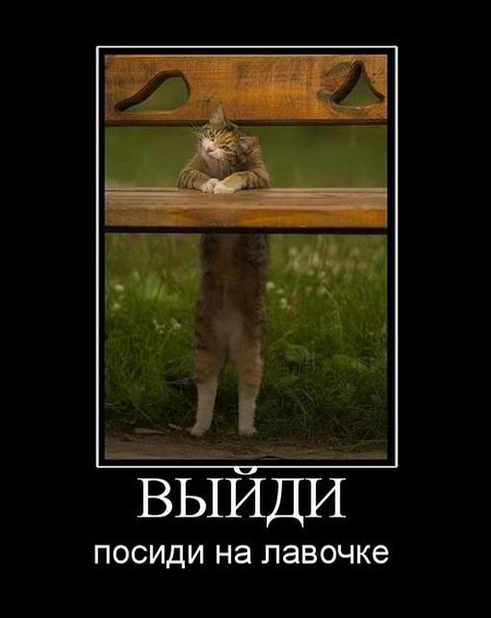 Демотиваторы приколы