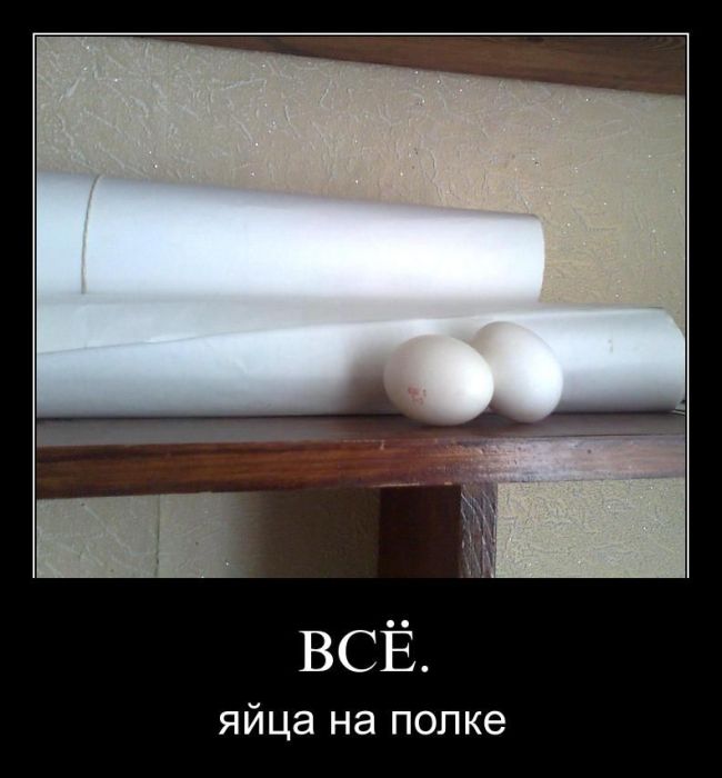 Демотиваторы приколы