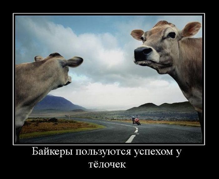 Демотиваторы приколы