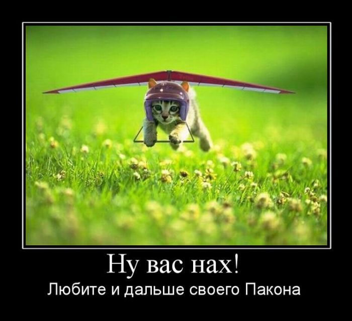 Демотиваторы приколы