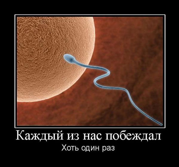 Демотиваторы приколы