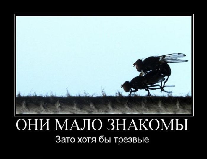 Демотиваторы приколы