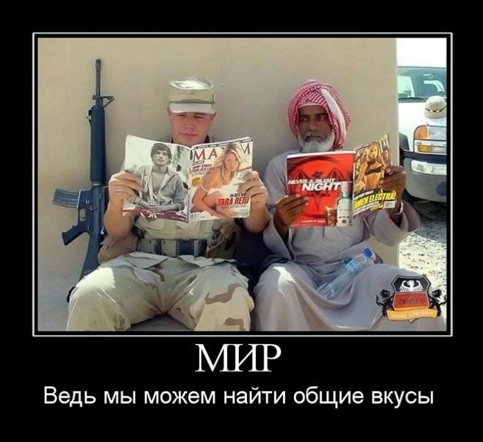 Демотиваторы приколы