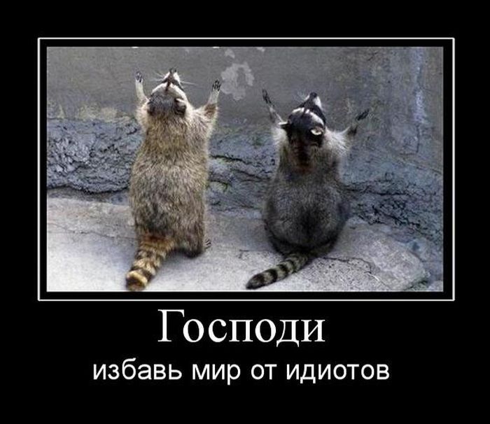 Демотиваторы приколы