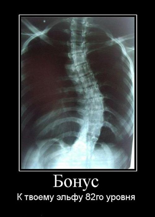 Демотиваторы приколы