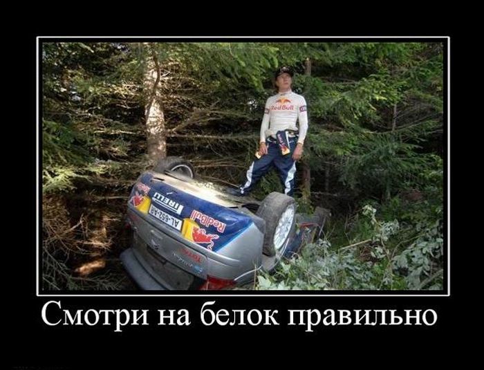 Демотиваторы приколы