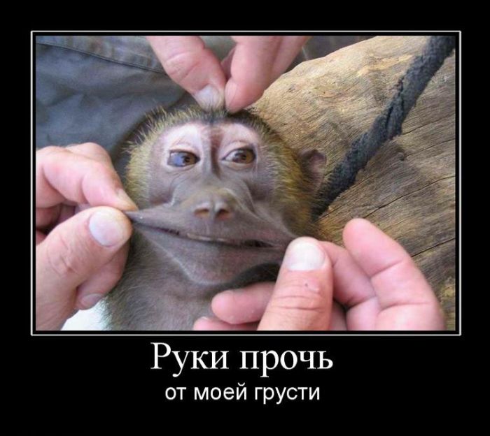 Демотиваторы приколы