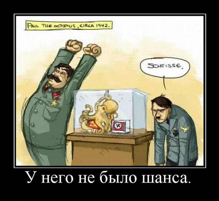 Демотиваторы приколы