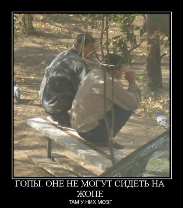 Демотиваторы приколы