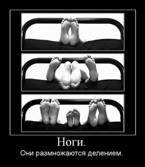 Демотиваторы приколы