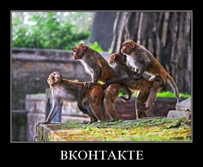 Демотиваторы приколы