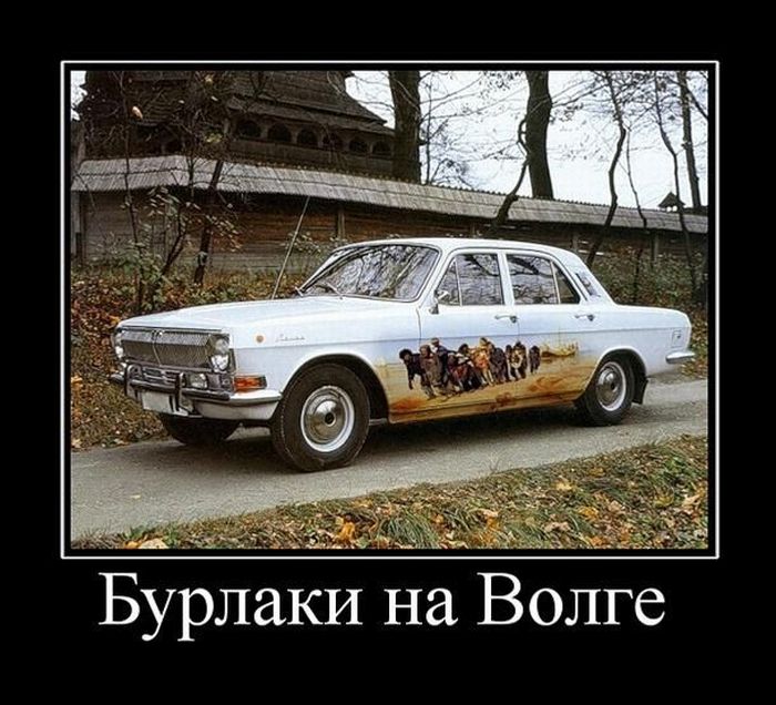 Демотиваторы приколы