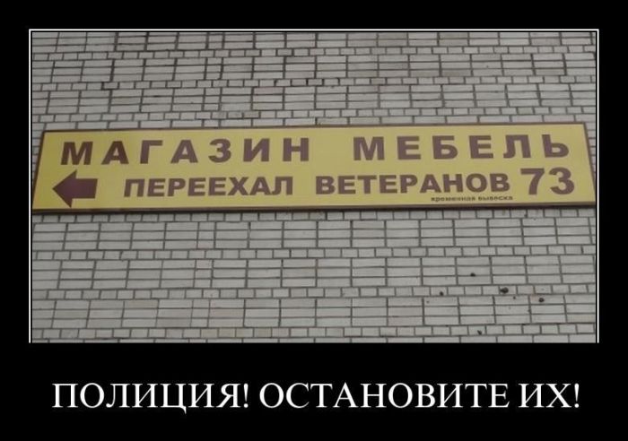 Демотиваторы приколы
