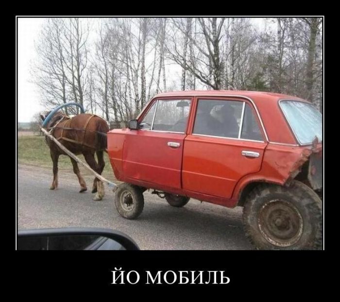 Демотиваторы приколы
