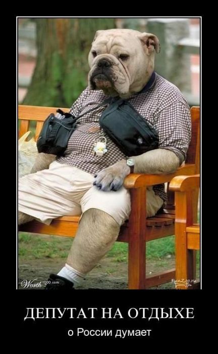 Демотиваторы приколы