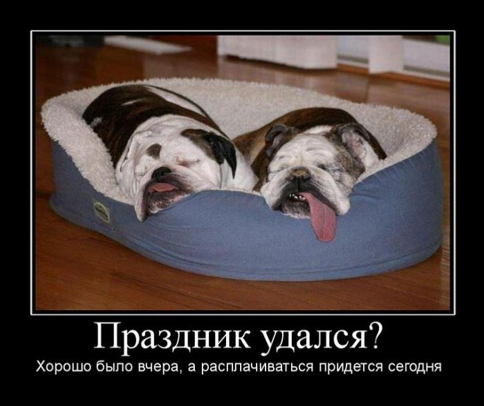 Демотиваторы приколы