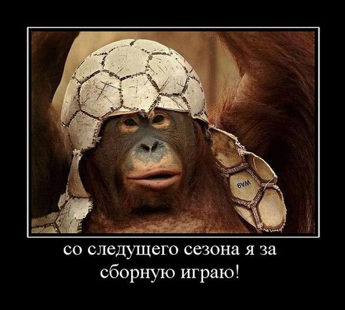 Демотиваторы приколы