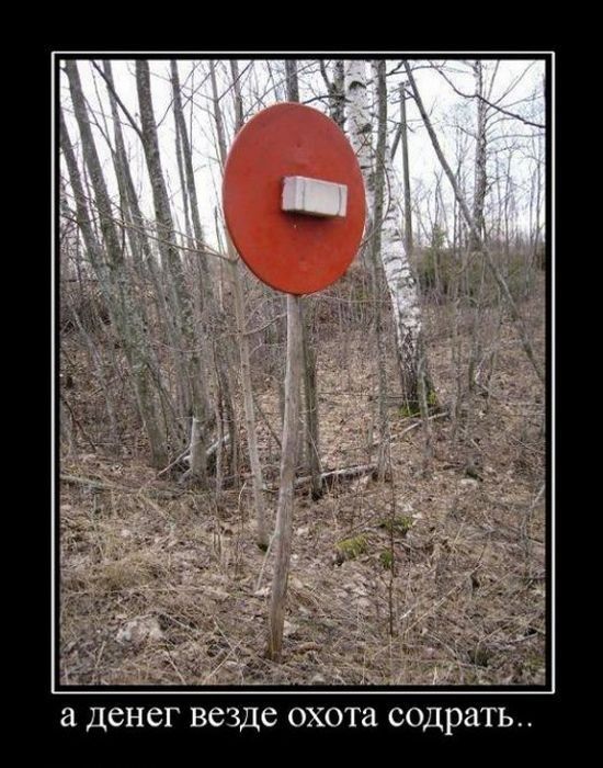 Демотиваторы приколы