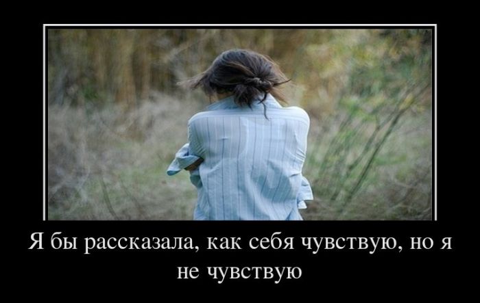 Демотиваторы приколы