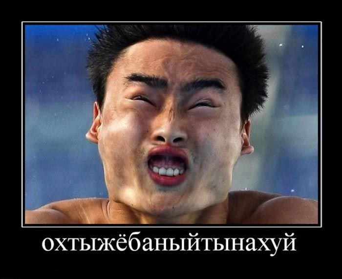 Демотиваторы приколы