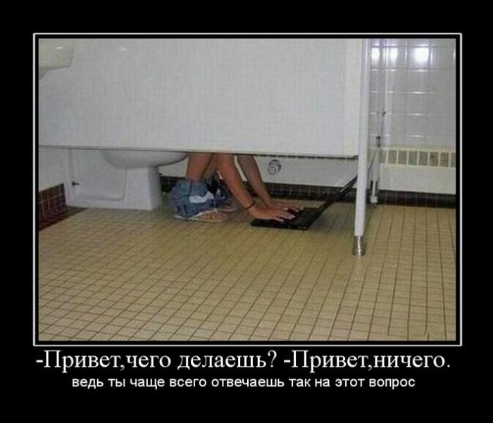 Демотиваторы приколы