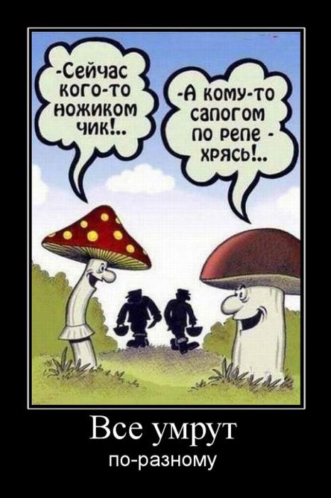 Демотиваторы приколы