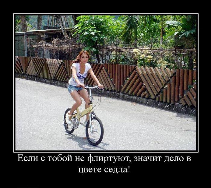 Демотиваторы приколы