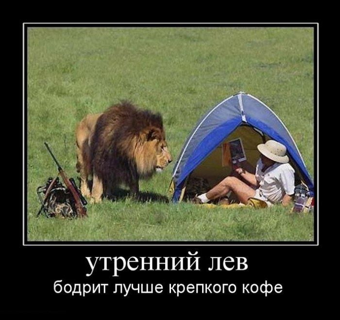 Демотиваторы приколы