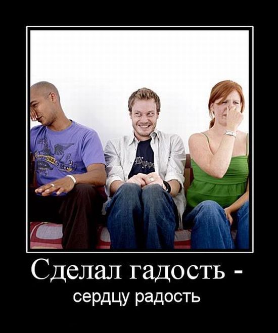 Демотиваторы приколы