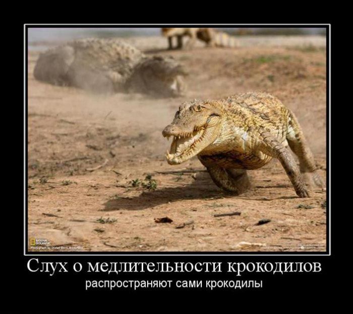 Демотиваторы приколы